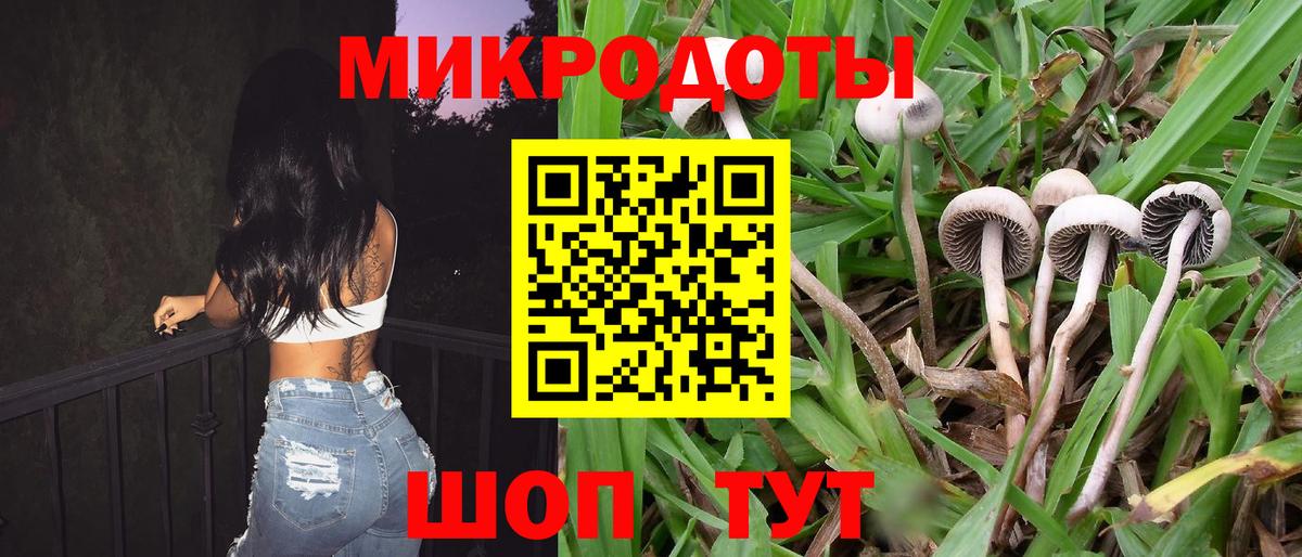 продажа наркотиков  Псилоцибиновые грибы MAGIC MUSHROOMS  Вход с VPN  Псков 